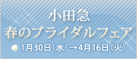 ���c�} �u���C�_���t�F�A 8��10���i���j��10��31���i���j