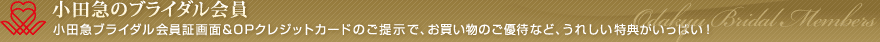 ���c�}�̃u���C�_����� ���c�}�u���C�_������؉�ʁ�OP�N���W�b�g�J�[�h�ŁA���������̂��D�҂ȂǁA���ꂵ�����T�������ς��I
