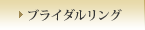 �u���C�_�������O