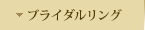 �u���C�_�������O