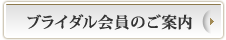 �u���C�_������̂��ē�