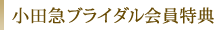 ���c�}�u���C�_��������T