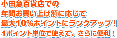 �N�Ԃ������グ�z�ɉ�����
�ő�10���|�C���g�Ƀ����N�A�b�v�I
1�|�C���g�P�ʂŎg���āA����ɕ֗��I