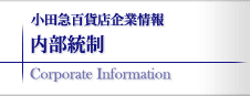 内部統制