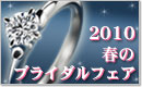 2010 ���c�} �t�̃u���C�_���t�F�A