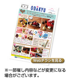Webチラシを見る