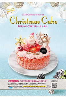 2025 Odakyu Machida Christmas Cake