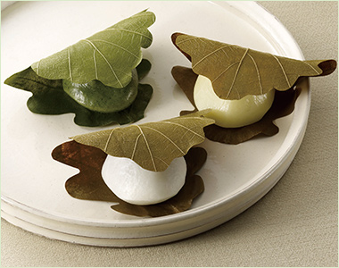 〈銀座あけぼの〉 かしわもち