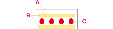 ［京橋千疋屋］Xmas苺のショートケーキ4号断面図