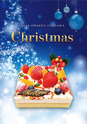 2026 ODAKYU FUJISAWA Christmas