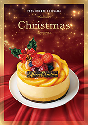 2025 ODAKYU FUJISAWA Christmas
