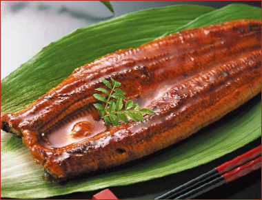 ［魚の北辰］ 国産うなぎ長焼