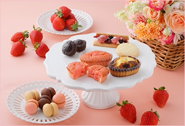 〈シーキューブ〉ハッピースプリングアソートM