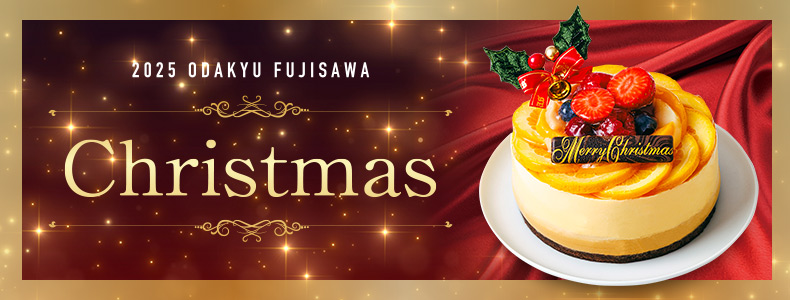 2025 小田急のクリスマス