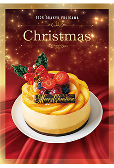 2025 ODAKYU FUJISAWA Christmas
