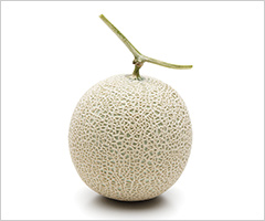 ［九州屋］ マスクメロン