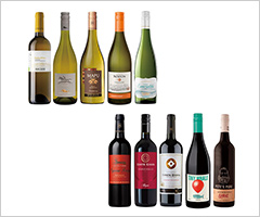 ［ワインショップ・エノテカ］ パーティーパックMIXワイン 10本セット