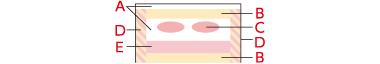 断面図