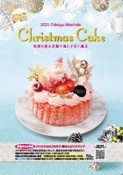 2025 Odakyu Machida Christmas Cake