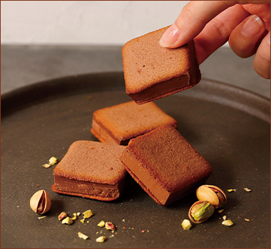 〈カカオシック〉cacaosic ピスタチオ