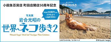 小田急百貨店 町田店開店50周年記念 写真展「岩合光昭の世界ネコ歩き2」