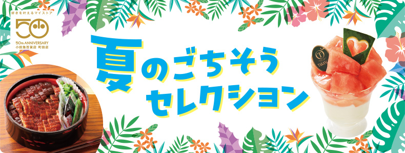夏のごちそうセレクション