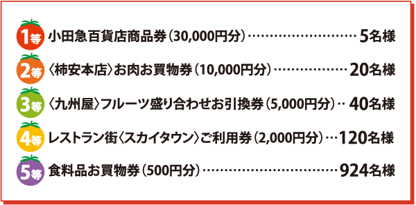 1等小田急百貨店商品券(30,000円分)5名様 2等〈柿安本店〉お肉お買物券(10,000円分)20名様 3等〈九州屋〉フルーツ盛り合わせ引換券(5,000円分)40名様 4等レストラン街〈スカイタウン〉ご利用券(2,000円分)120名様 5等食料品お買物券(500円分)924名様