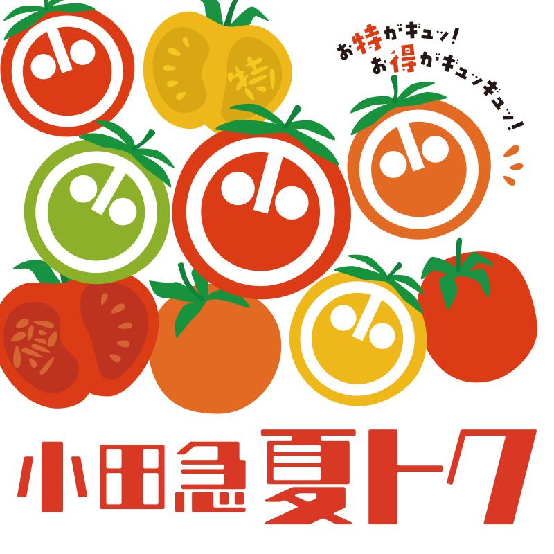 小田急 夏トク