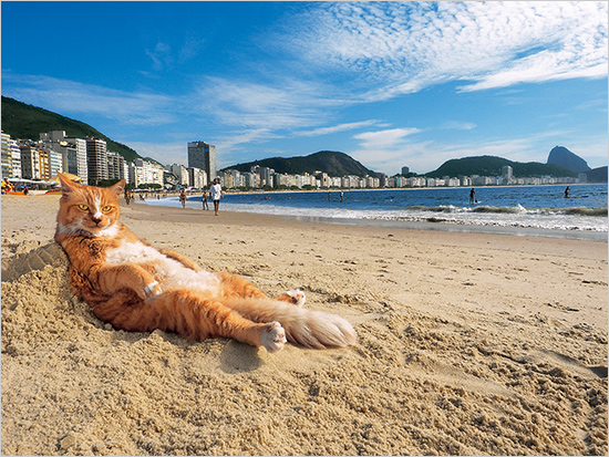 リオデジャネイロ コパカバーナ ©Mitsuaki Iwago