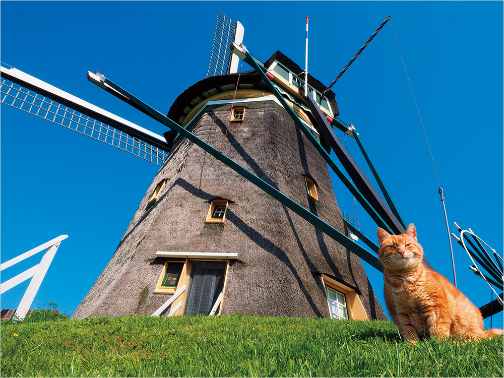 オランダ ストンブウェイク ©Mitsuaki Iwago