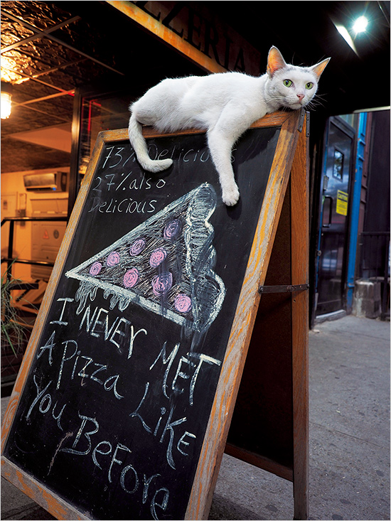 アメリカ ニューヨーク ©Mitsuaki Iwago