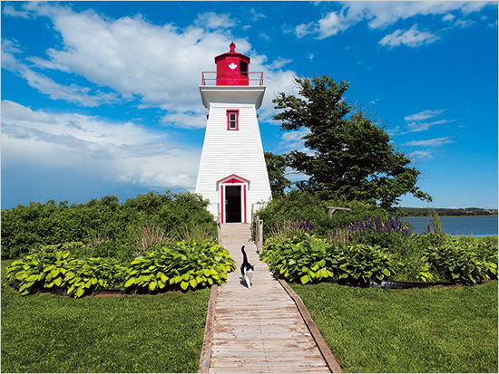 カナダ プリンスエドワード島 ©Mitsuaki Iwago