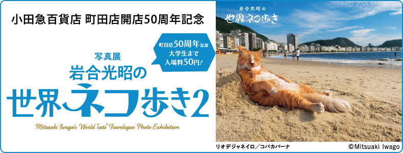 小田急百貨店 町田店開店50周年記念 写真展「岩合光昭の世界ネコ歩き2」