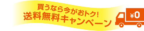 買うなら今がおトク！送料無料キャンペーン