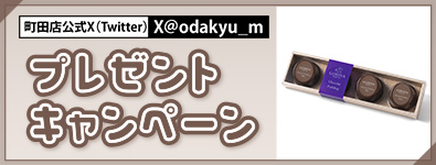 ＜X(Twitter)＞てみやげプレゼントキャンペーン
