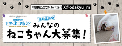＜X(Twitter)＞ 写真展連動企画『みんなのねこちゃん大募集』