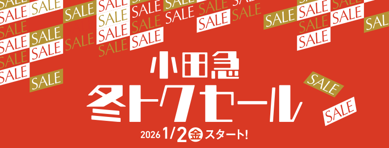 小田急 冬トクセール