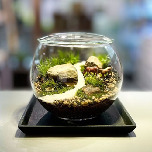 苔テラリウム ガラスボール10×8作品(W10×H8cm) 4,840円  本物の生きた苔を使ったテラリウムです。 お手入れは、室内の直射日光の当たらない場所に蓋を閉じた状態で置き、2～4週間おきに霧吹きで水をあげるだけです。観葉植物に比べて耐陰性も強い為、照明の光だけでも成長可能。置く場所の自由度がとても高いのも魅力です。 ※人形は別売り ※一つひとつ手作りで仕上げているため、苔の成長具合など、画像と完全には一致しない場合がございます。