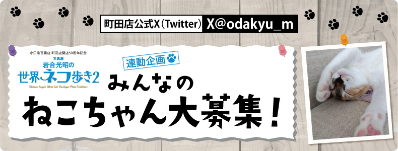 <X(Twitter)>「写真展 岩合光昭の世界ネコ歩き2」連動企画『みんなのねこちゃん大募集』