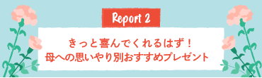 Report2 きっと喜んでくれるはず！母への思いやり別おすすめプレゼント