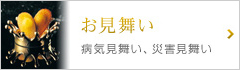 病気見舞い、災害見舞い