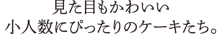 見た目もかわいい小人数にぴったりのケーキたち。