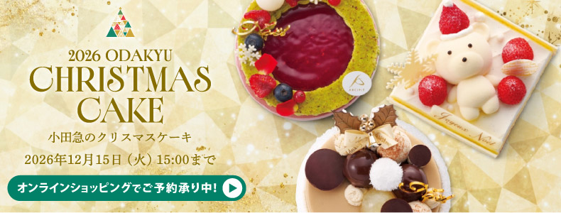 2026 ODAKYU CHRISTMAS CAKE