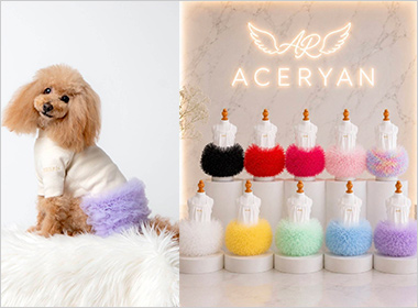 <ACERYAN>チュチュワンピース