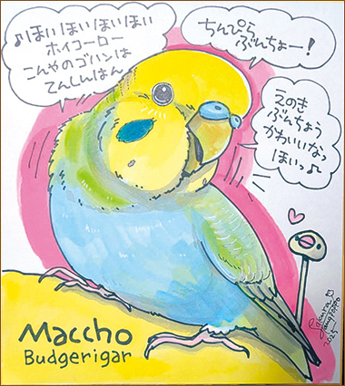 似顔絵色紙カラー イメージ