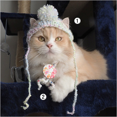 ＜徒然猫屋。＞にゃんこ帽子、にゃんこループタイ