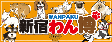 新宿わん博