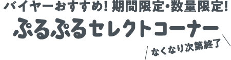 バイヤーおすすめ！期間限定・数量限定！ぷるぷるセレクトコーナー なくなり次第終了