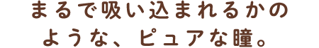 まるで吸い込まれるかのような、ピュアな瞳。