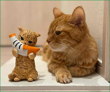 〈きゃねこ〉オーダーグッズの一例画像